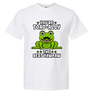 Toadgiftally The Best Pawpaw Frog Lover Toad Grandfather Gift Garment-Dyed Heavyweight T-Shirt