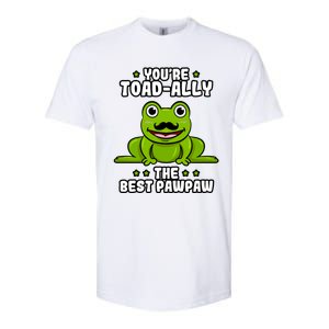 Toadgiftally The Best Pawpaw Frog Lover Toad Grandfather Gift Softstyle CVC T-Shirt