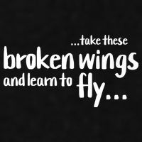 Take These Broken Wings And Learn To Fly Ladies PosiCharge Tri-Blend Wicking Tank