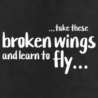 Take These Broken Wings And Learn To Fly Knit Cap Winter Beanie