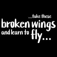 Take These Broken Wings And Learn To Fly Flat Bill Trucker Hat