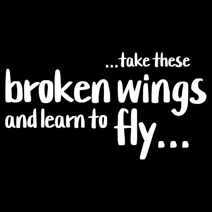 Take These Broken Wings And Learn To Fly Flat Bill Trucker Hat