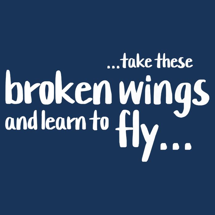 Take These Broken Wings And Learn To Fly Infant Baby Jersey Bodysuit
