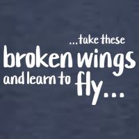 Take These Broken Wings And Learn To Fly Premium T-Shirt