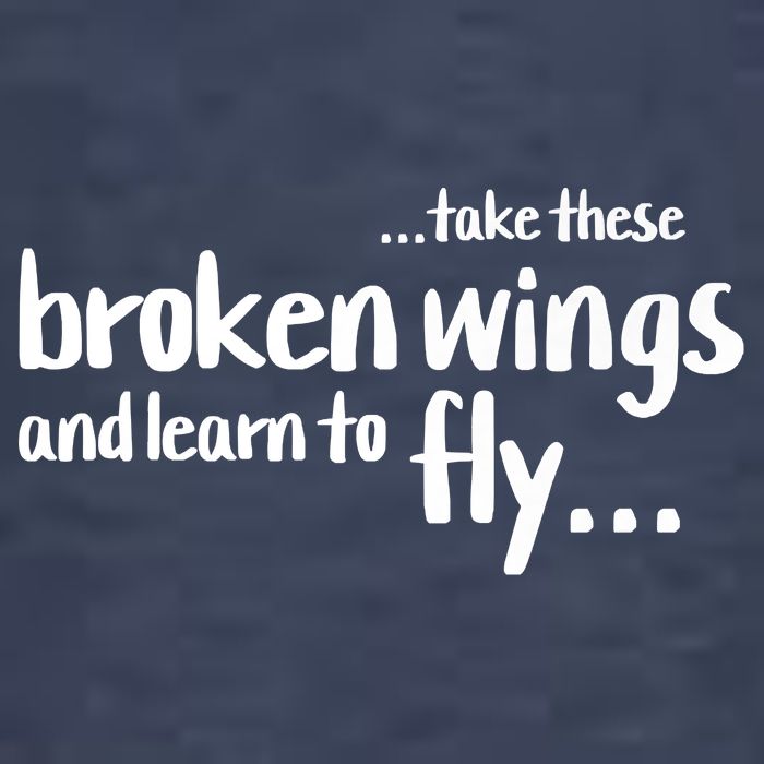 Take These Broken Wings And Learn To Fly Kids T-Shirt