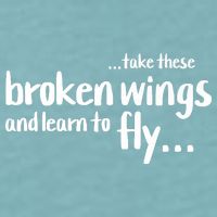 Take These Broken Wings And Learn To Fly Sueded Cloud Jersey T-Shirt