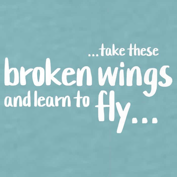Take These Broken Wings And Learn To Fly Sueded Cloud Jersey T-Shirt