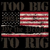 Trump Too Big To Rig We The People Mug