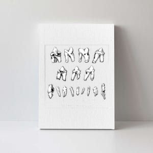 The Tooth Canvas Premium Canvas