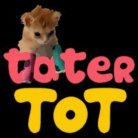 Tater Tot Cute Cat Short Acrylic Beanie