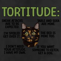 Tortitude Tortie Cat Lover Tortoiseshell Cat Owner Funny Gift Beanie
