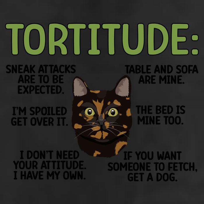 Tortitude Tortie Cat Lover Tortoiseshell Cat Owner Funny Gift Beanie