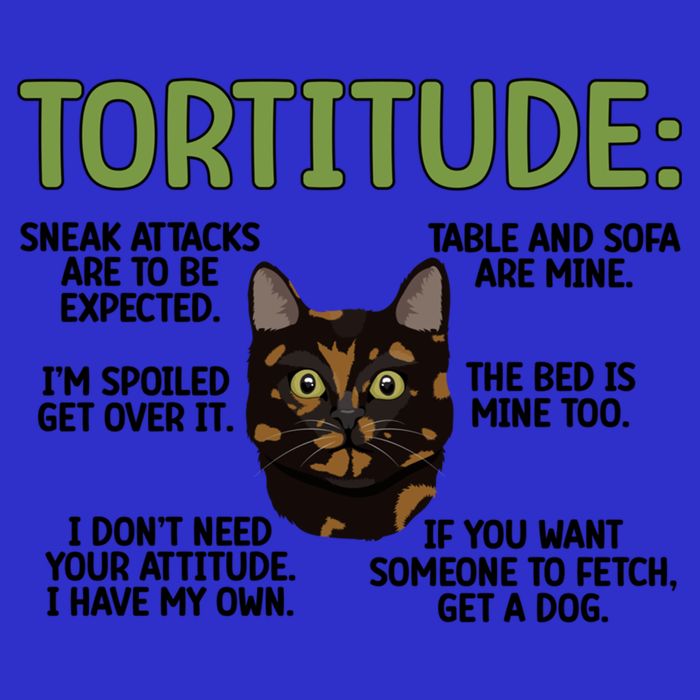 Tortitude Tortie Cat Lover Tortoiseshell Cat Owner Funny Gift Tall T-Shirt