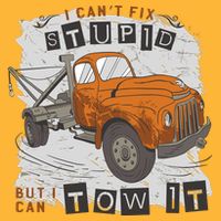 Tow Truck Driver I Can't Fix Stupid But I Can Tow It Pom Pom 12in Knit Beanie