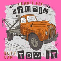 Tow Truck Driver I Can't Fix Stupid But I Can Tow It Stripe Pom Pom Beanie