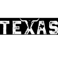 Texas Throwback Design Classic Bumper Sticker