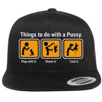 Things To Do With A Pussy Cat Graphic Flat Bill Trucker Hat