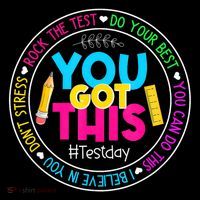 Teacher Testing Day You Got This Test Day Rock The Test Pom Pom 12in Knit Beanie