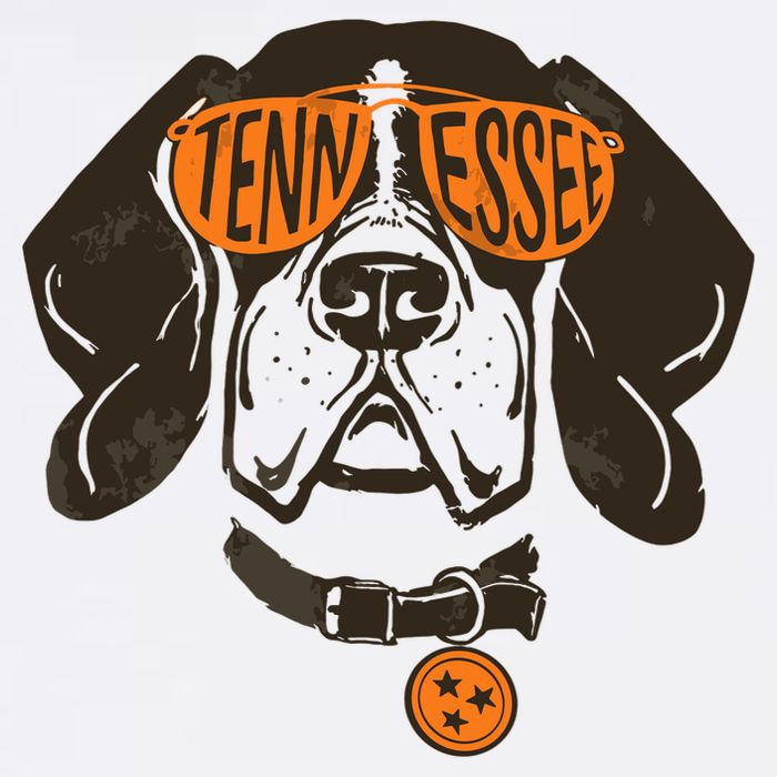 Tennessee Tn Dog State Flag Tn Lover Outfit Cooling Performance Crew T-Shirt