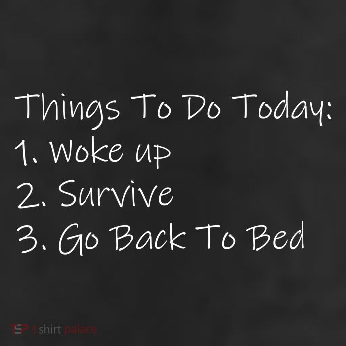 Things To Do Today Wake Up Survive Go Back To Bed Trucker Hat