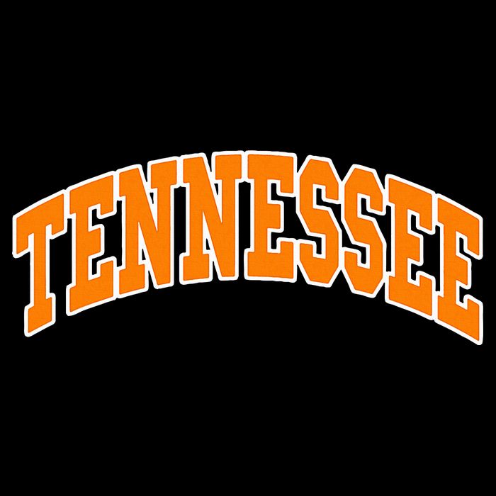 Tennessee Throwback Design Classic T-Shirt