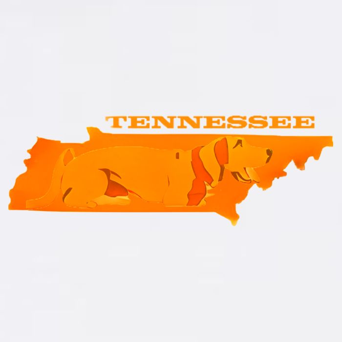 Tennessee Tank Top