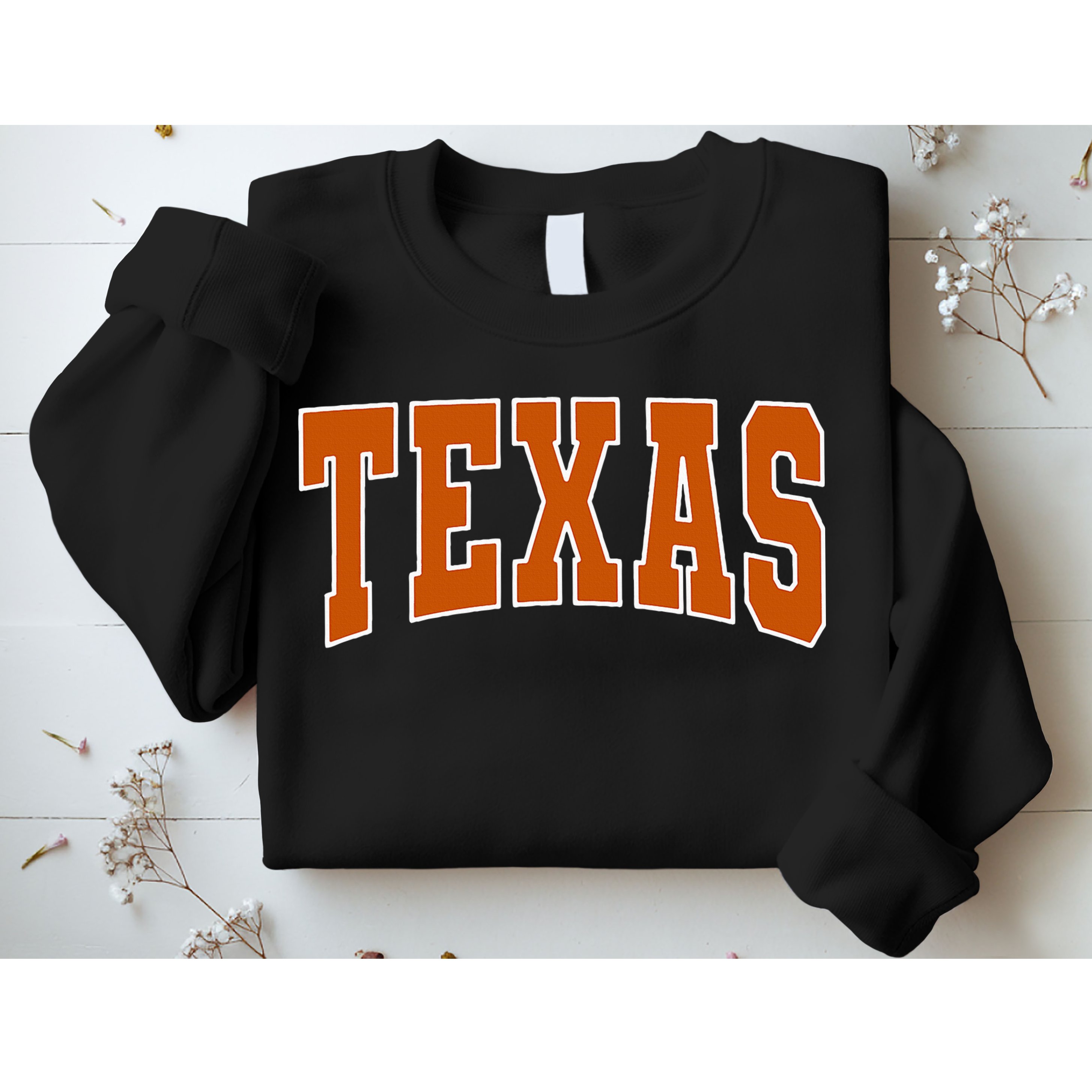 Texas Sweatshirt