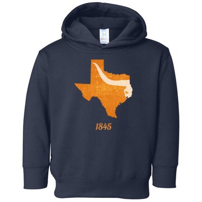 Texas Toddler Hoodie