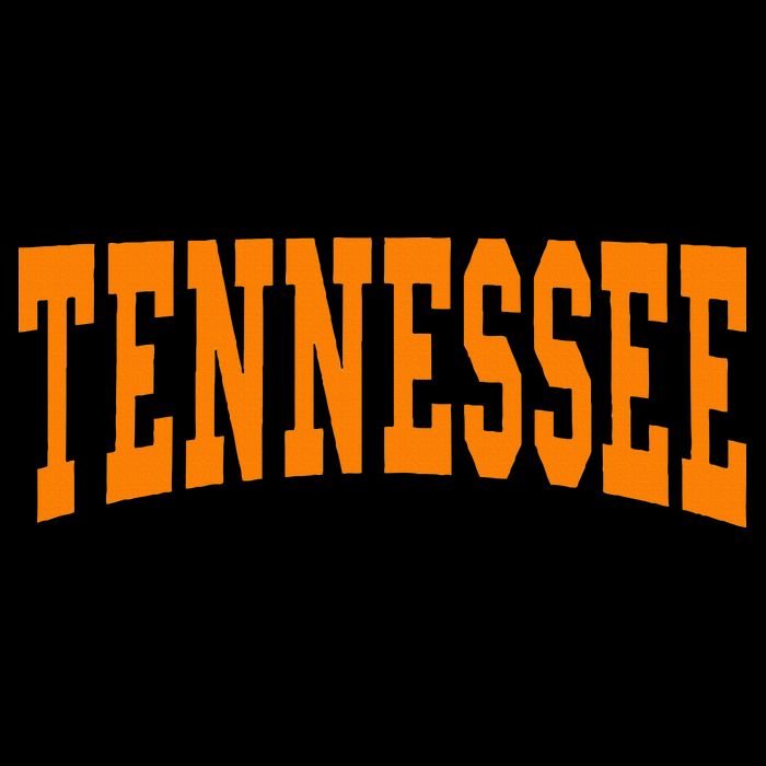 Tennessee Impact Tech Backpack