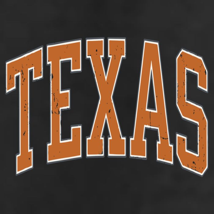 Texas 7 Panel Mesh Trucker Snapback Hat