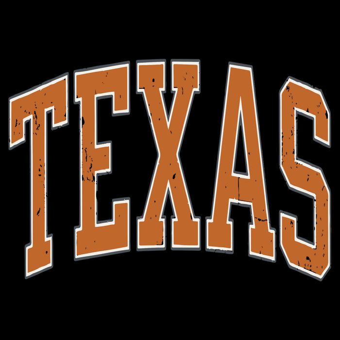 Texas Flexfit Unipanel Trucker Cap