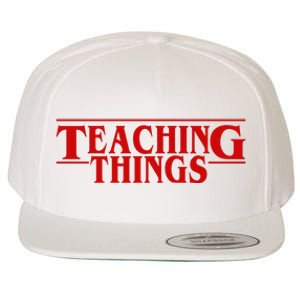 Teaching Things Funny Gift For Teacher Wool Snapback Cap