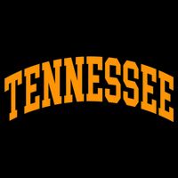 Tennessee TN Football Baseball Sport Fans Premium T-Shirt