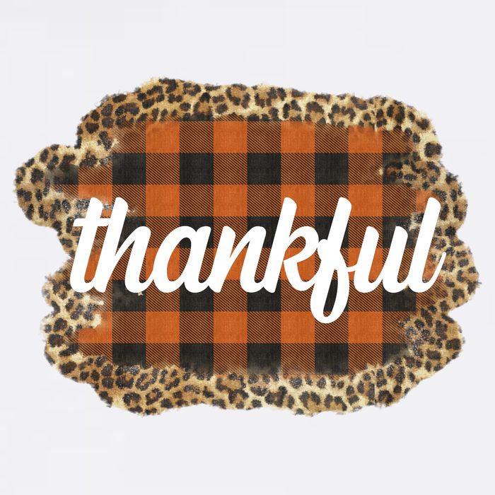 Thankful Thanksgiving Holiday Cheetah Plaid T-Shirt