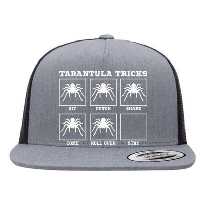 Tarantula Tricks Hairy Spiders ntomophile Entomologist Flat Bill Trucker Hat