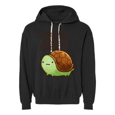 This Turtle.. He Judges You. Garment-Dyed Fleece Hoodie