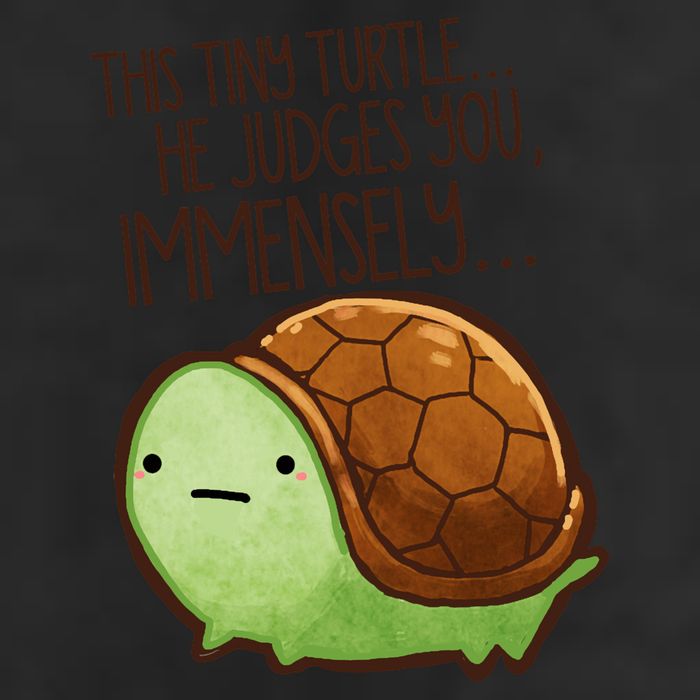 This Turtle.. He Judges You. Garment-Dyed Fleece Hoodie