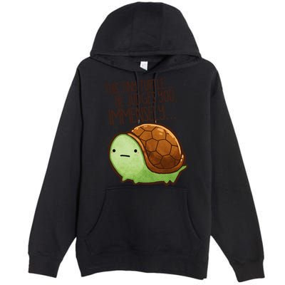 This Turtle.. He Judges You. Premium Pullover Hoodie