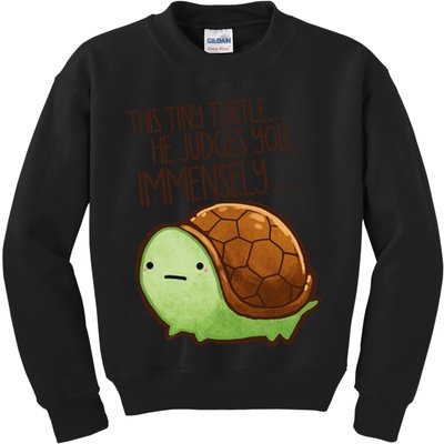 This Turtle.. He Judges You. Kids Sweatshirt