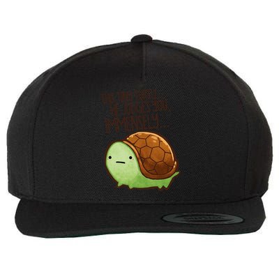This Turtle.. He Judges You. Wool Snapback Cap