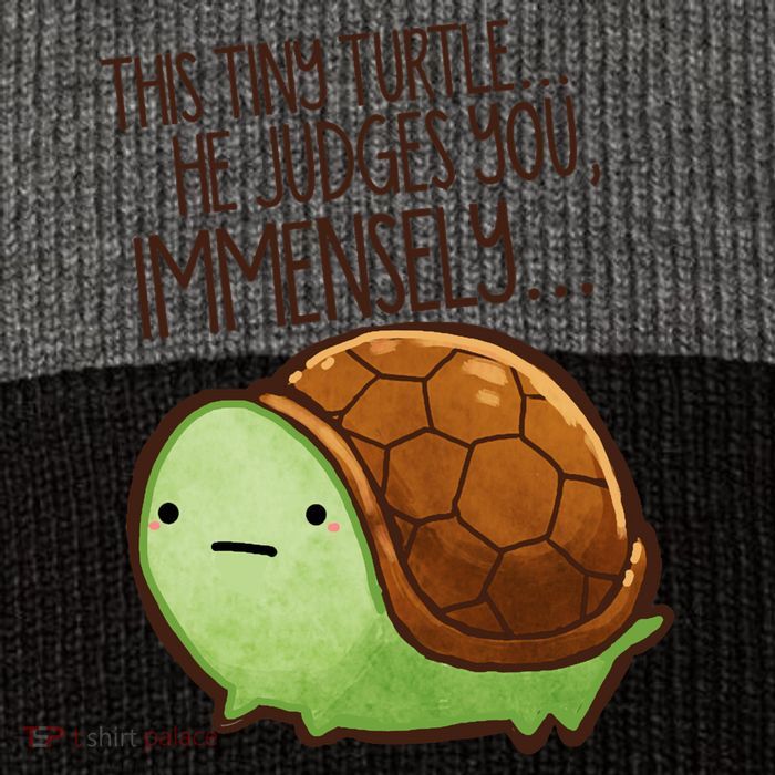 This Turtle.. He Judges You. Stripe Pom Pom Beanie