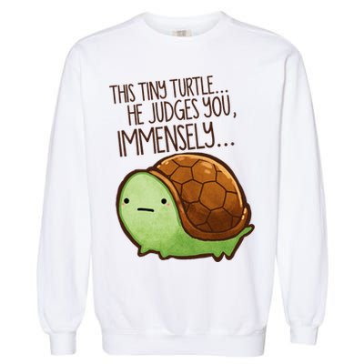 This Turtle.. He Judges You. Garment-Dyed Sweatshirt