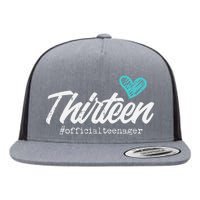 Thirteen Teenager Heart Cute 13th Birthday Flat Bill Trucker Hat