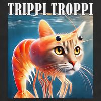 Trippi Troppi - Italian Brainrot Meme Funny Adult Drive Performance Visor
