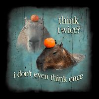 Think Twice? I Don’T Even Think Once Funny Capybara Word Art 7-Panel Snapback Hat