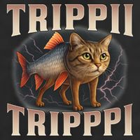 Trippi Troppi - Italian Brainrot Meme Cat 15oz Campfire Ceramic Mug