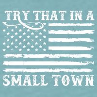 Try That In My Small Town Sueded Cloud Jersey T-Shirt