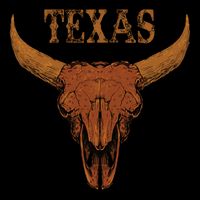 Texas TX Lone Star State Sweatshirt
