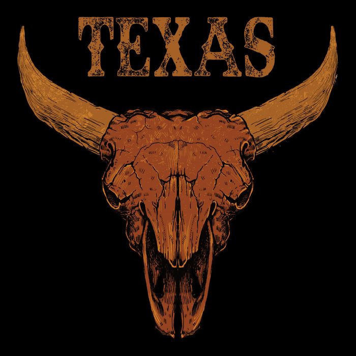 Texas TX Lone Star State Sweatshirt