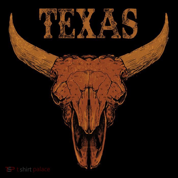 Texas TX Lone Star State Magnet